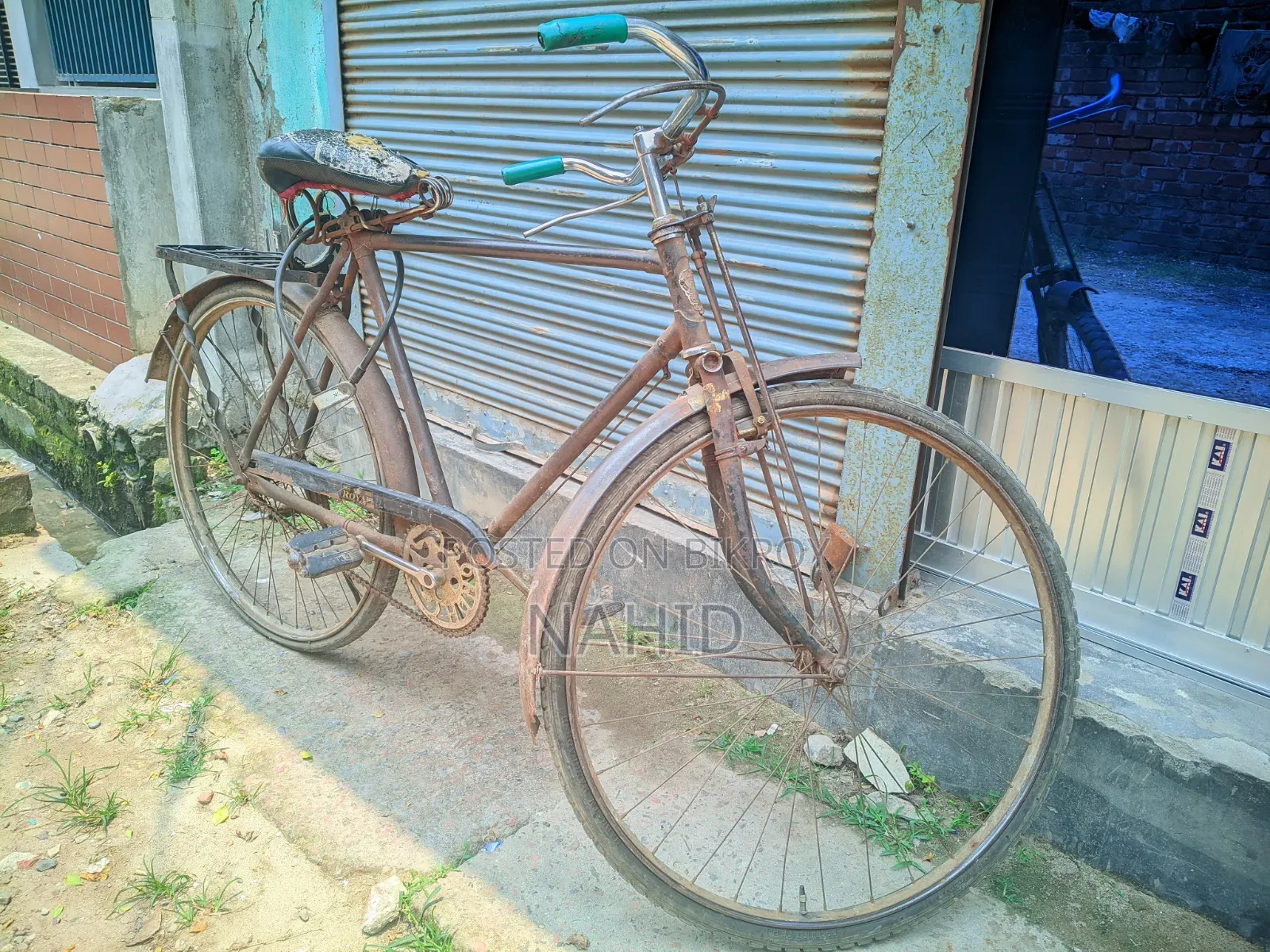 Bicycle Large