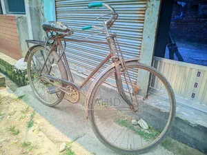 Bicycle Large