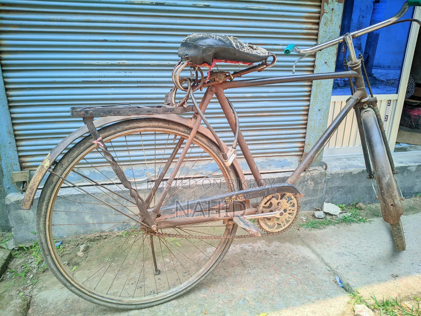 Bicycle Large