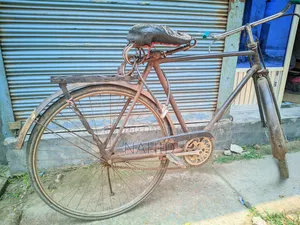Bicycle Large