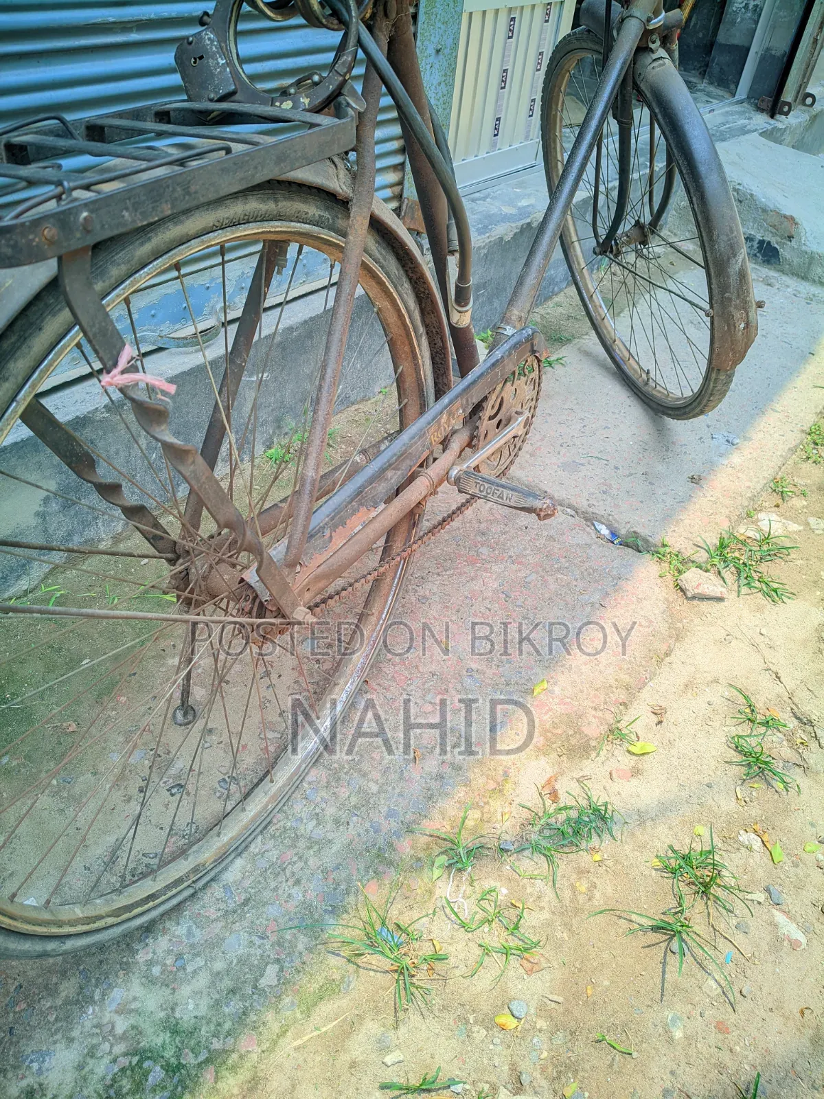 Bicycle Large