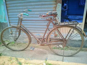Bicycle Large