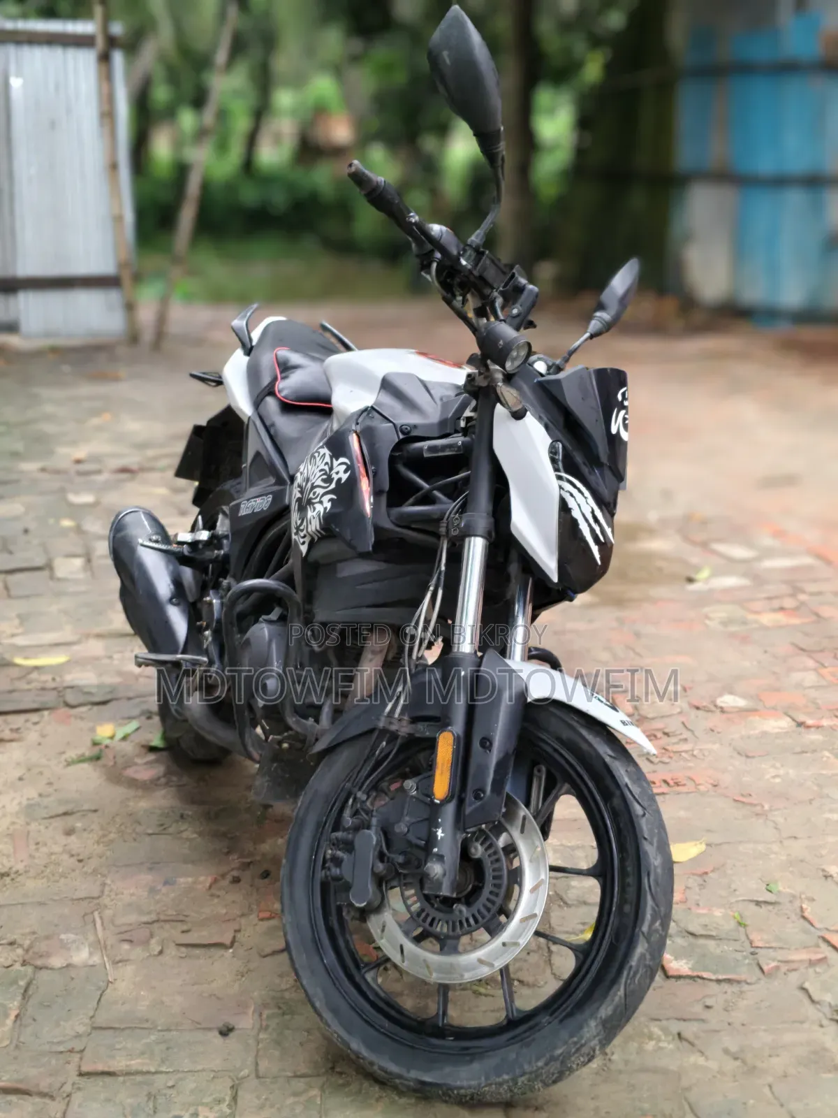 রোডমাস্টার ডিলাইট ২০১৯ হোয়াইট