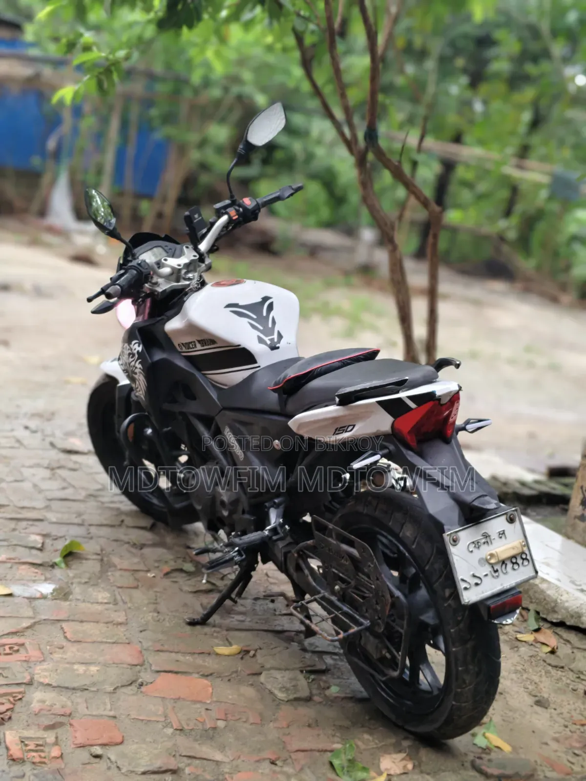 রোডমাস্টার ডিলাইট ২০১৯ হোয়াইট