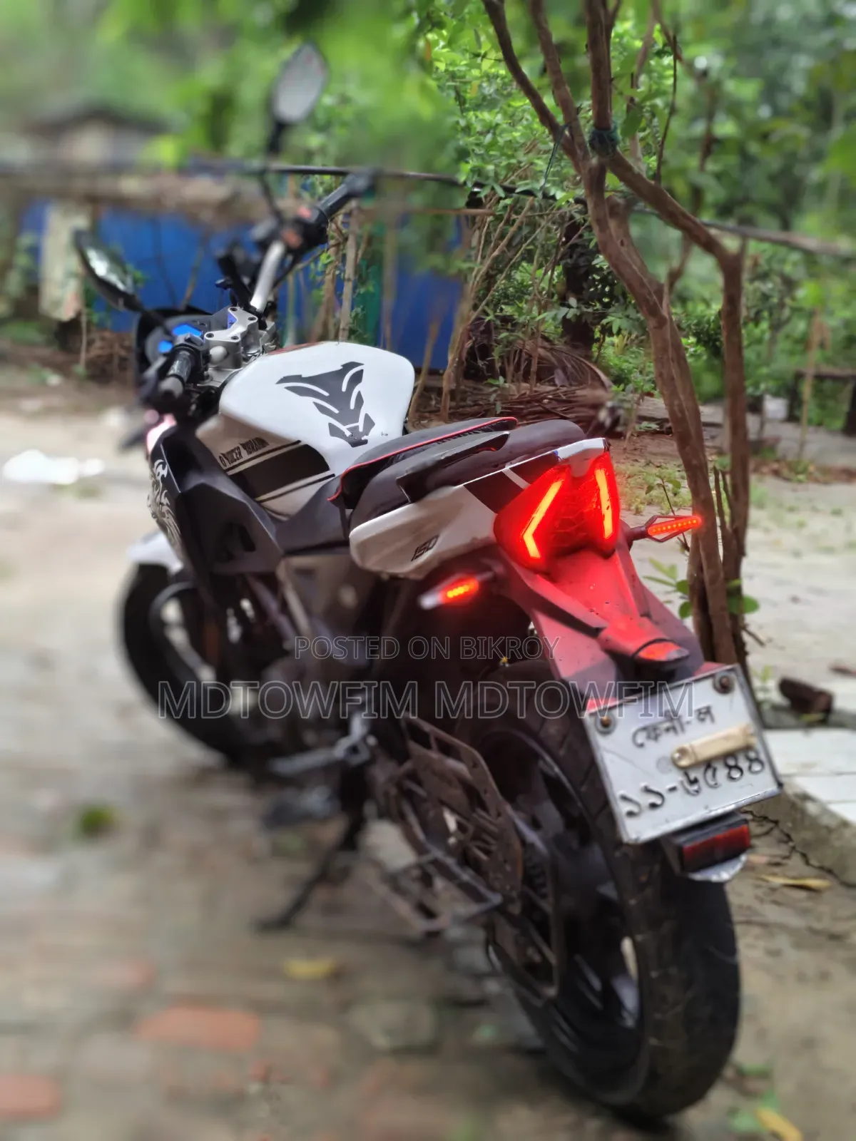 রোডমাস্টার ডিলাইট ২০১৯ হোয়াইট