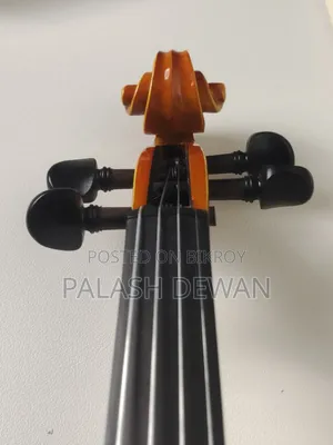 Violin Premium Box