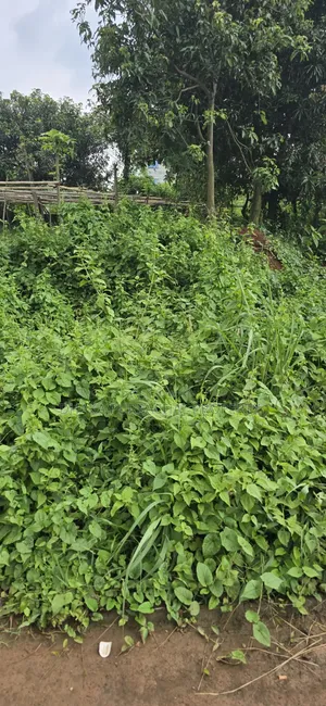 রাজউক পূর্বাচল সেক্টর -২৫, কর্নার ৭.৫ কাঠা প্লট বিক্রয়