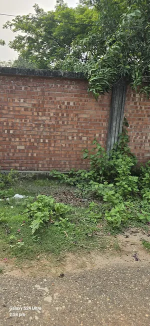 75'x75' South-East Corner 7.5 Katha Expatriate Category Plot for Sale