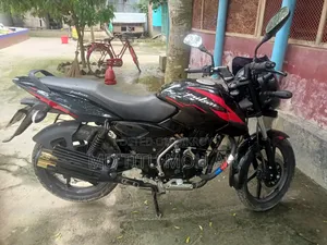 Bajaj Pulsar 150 2019 Black