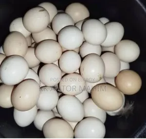 ফাওমি মুরগি বীজ ডিম