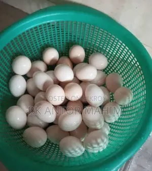 ফাওমি মুরগি বীজ ডিম