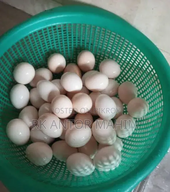 ফাওমি মুরগি বীজ ডিম