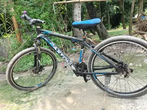 Paxton Cycle