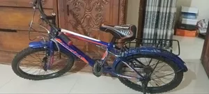 Reflex Cycle New Brand