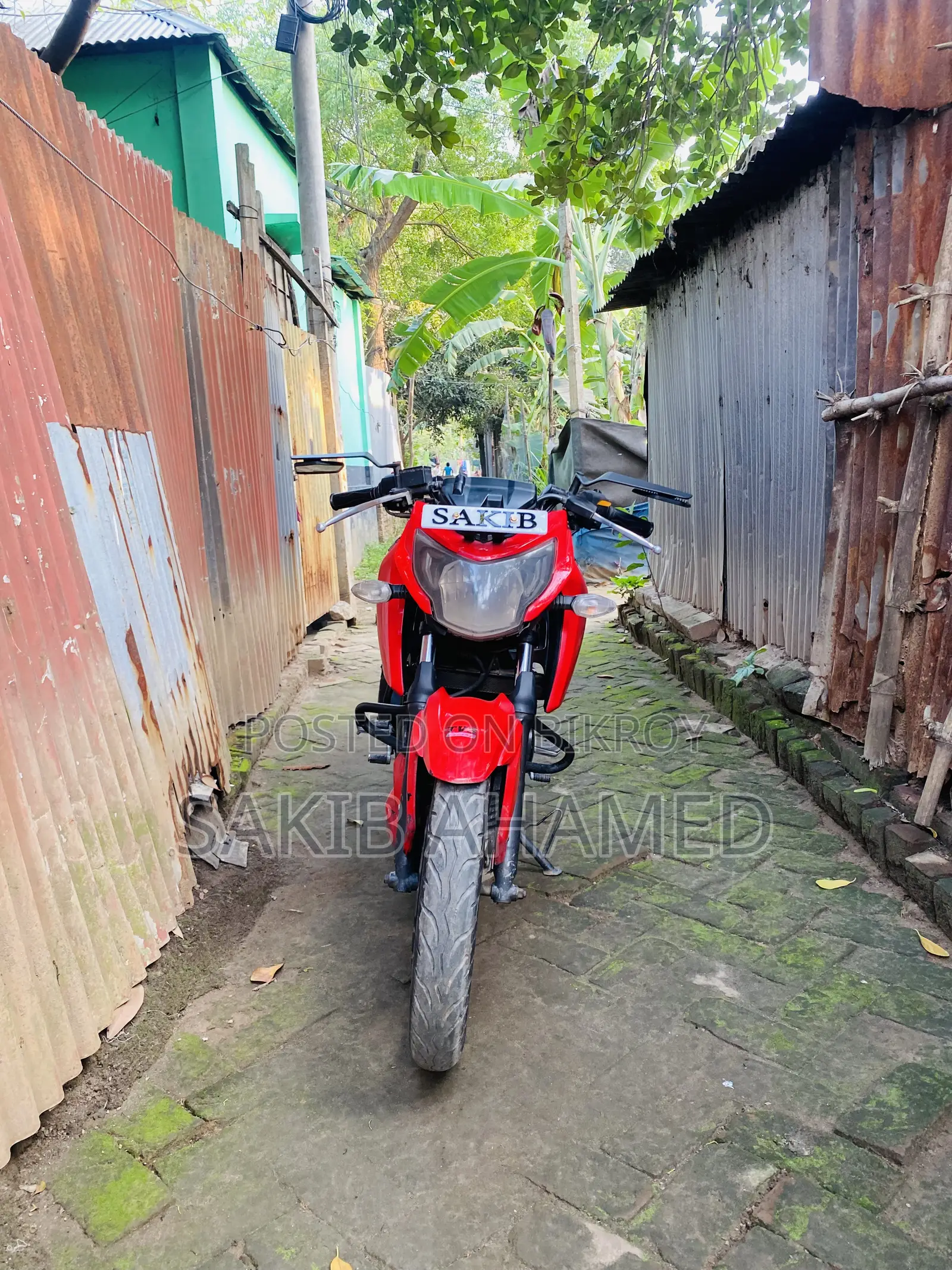TVS Apache RTR 160 4V 2019 Red