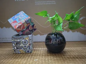 সিরামিক ফুলদানি গাছসহ