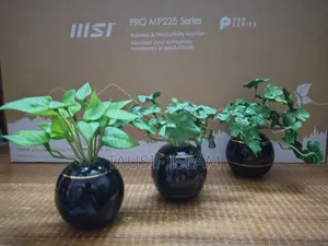 সিরামিক ফুলদানি গাছসহ