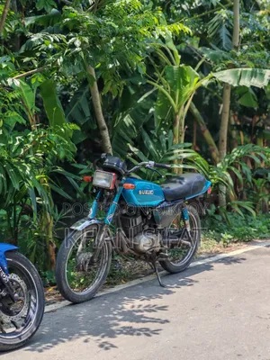 Suzuki ১৯৯৯ নীল