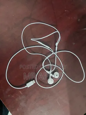 Apple Headphone