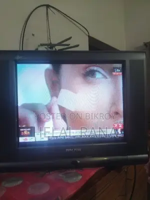 Want to sell Walton Dish TV