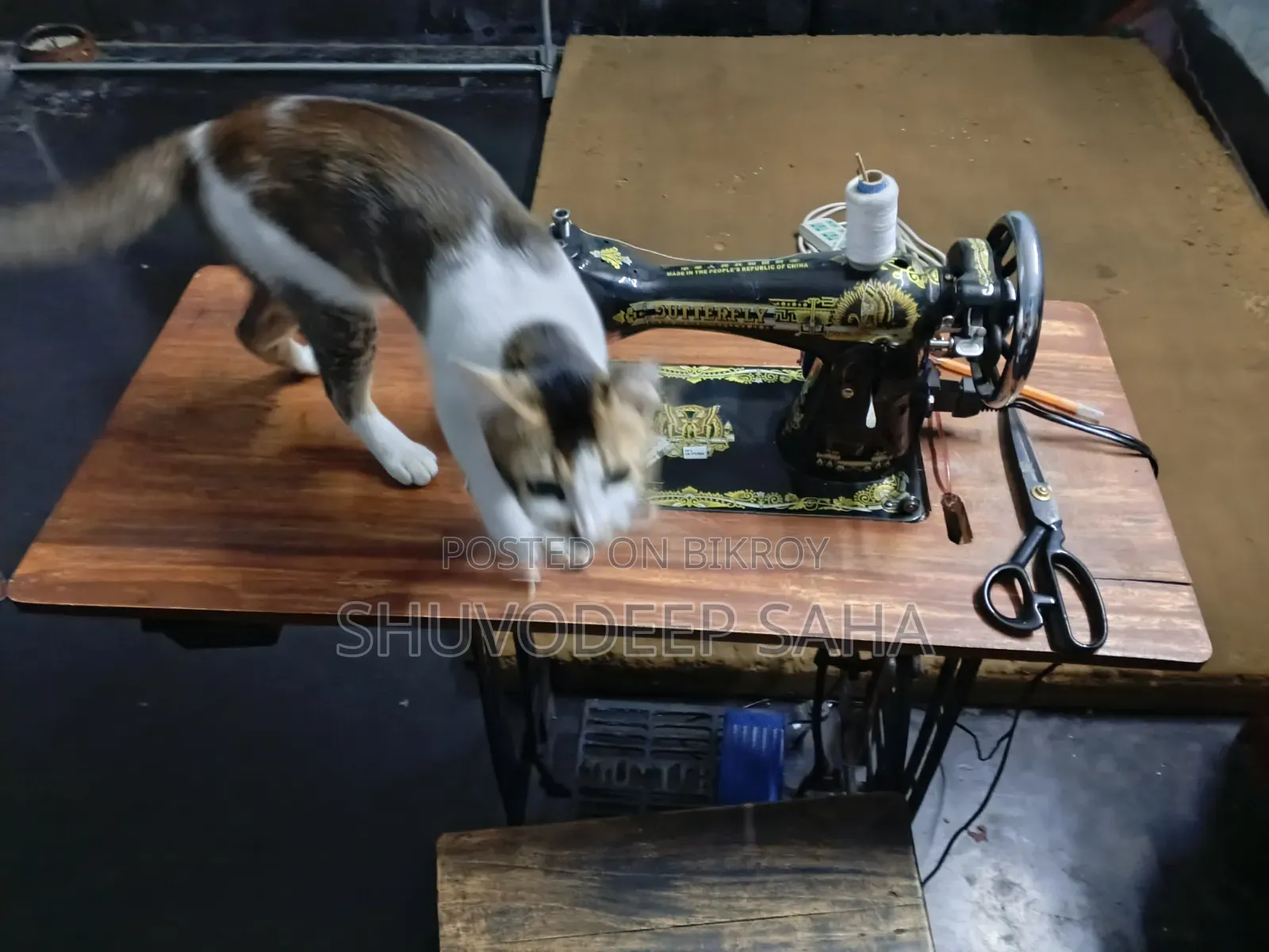Swing Machine