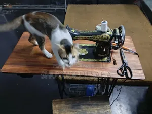 Swing Machine