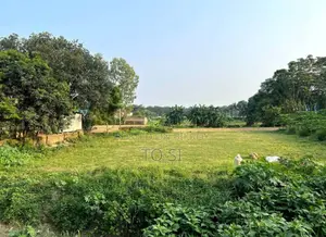হেমায়েতপুর বিনাদঙ্গী জমি ভাড়া