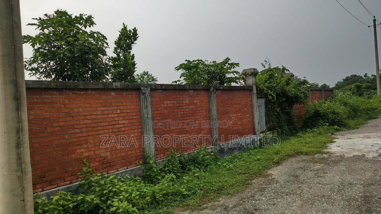 South-facing 10 Katha plot for sale in Sector 8.