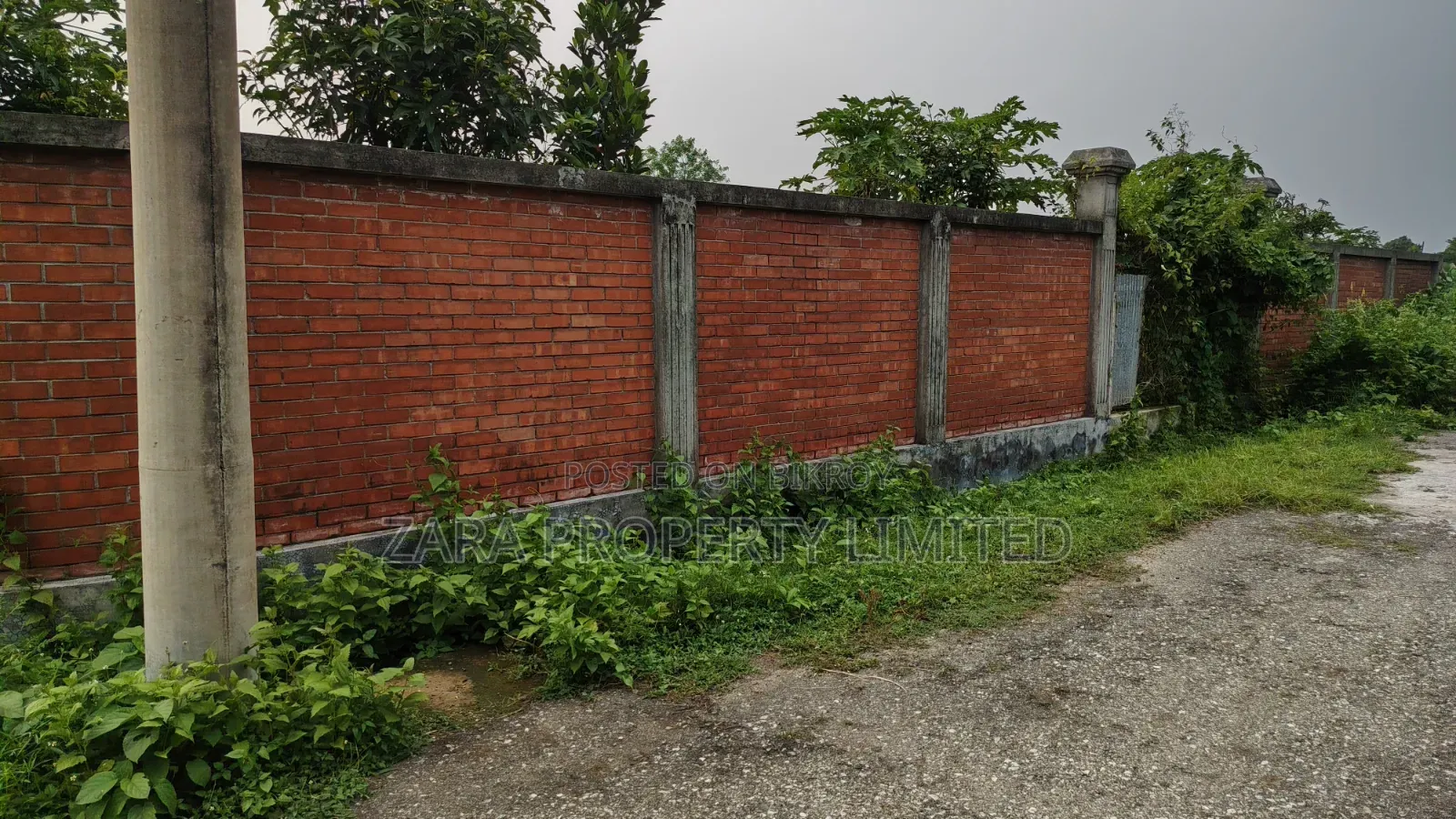 South-facing 10 Katha plot for sale in Sector 8.
