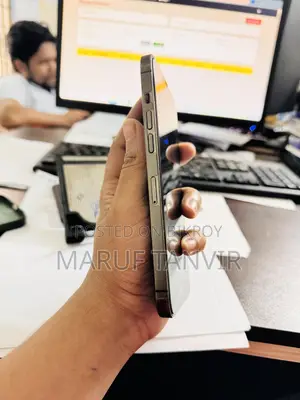 অ্যাপল আইফোন ১২ প্রো ম্যাক্স ২৫৬ জিবি গ্রে