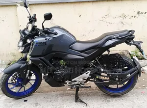 Yamaha FZS V3 2023 Gray