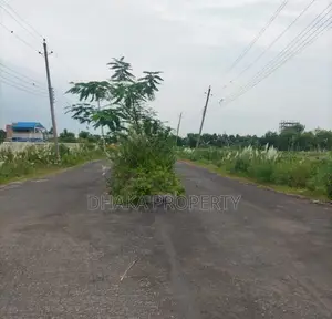 সেক্টর-২৫ এ ৭৫ ফুট রাস্তা, ৭.৫ কাঠা, লেক, ফরেস্ট, দক্ষিণমুখী