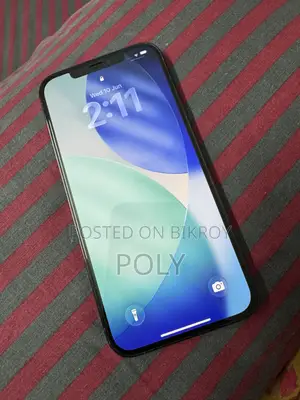 অ্যাপল আইফোন ১২ প্রো ম্যাক্স ২৫৬ জিবি ব্লু