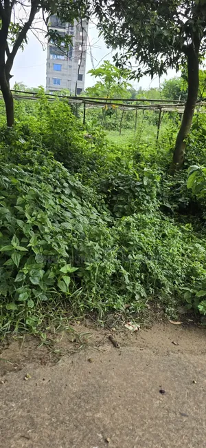 Rajuk Purbachal Sector-9 Govt. Service Plot Sell