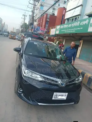 Toyota Corolla Fielder 2018 Black