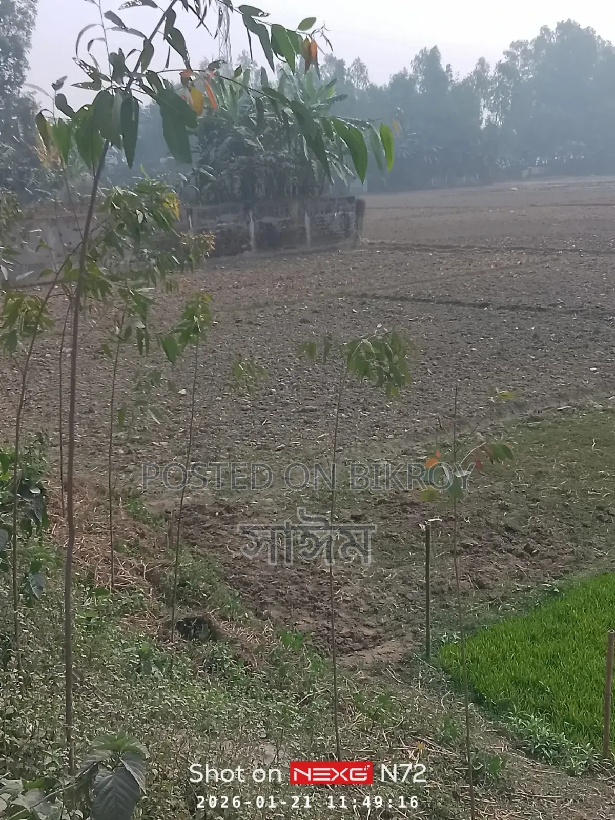Want to sell 5.5 decimal land in Hatiya Bazar