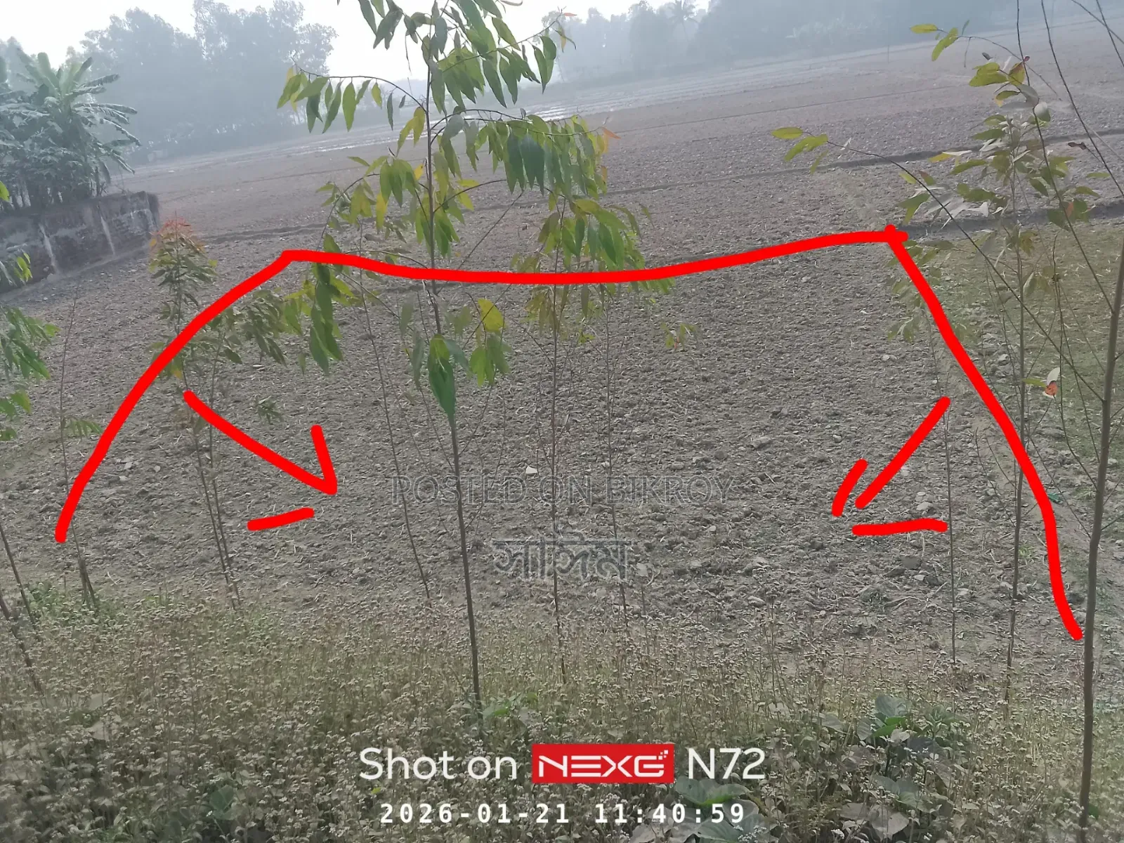 Want to sell 5.5 decimal land in Hatiya Bazar