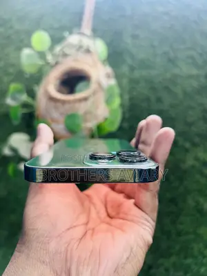 অ্যাপল আইফোন ১৩ প্রো ১২৮ জিবি গ্রিন
