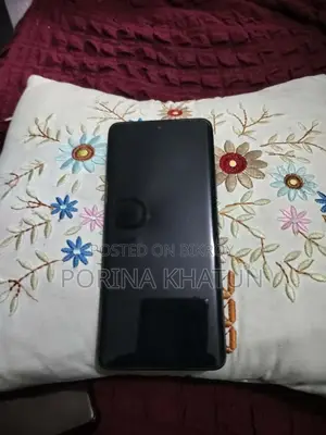 Xiaomi 13 Pro 256 GB Gray
