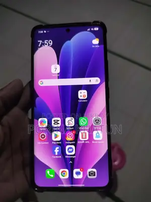 Xiaomi 13 Pro 256 GB Gray