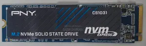 Nvme SSD 256gb Pny