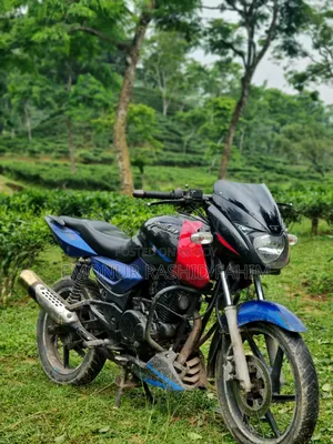 Bajaj Pulsar 150 2004 Blue