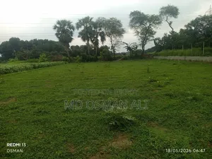 Land with a 22-foot government road