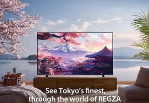 Android 65-Inch Smart Led Hd Television (Sony Plus) Analog and Digital