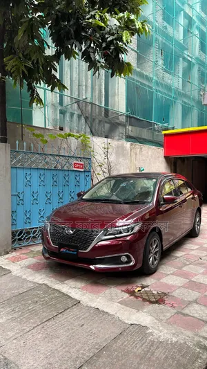 Toyota Allion 2019 Maroon
