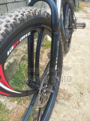 BMW Bicycle