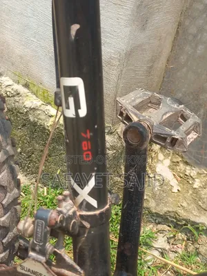 BMW Bicycle