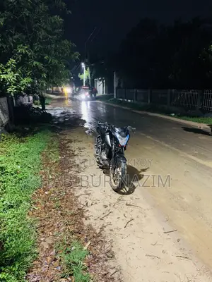 বাজাজ পালসার এনএস ১৬০ ২০১৯ ব্ল্যাক