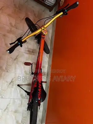 Almost Brand-New Cycle