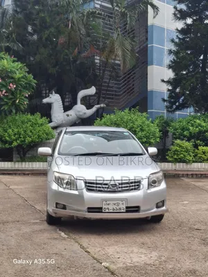 Toyota Axio 2010 Silver